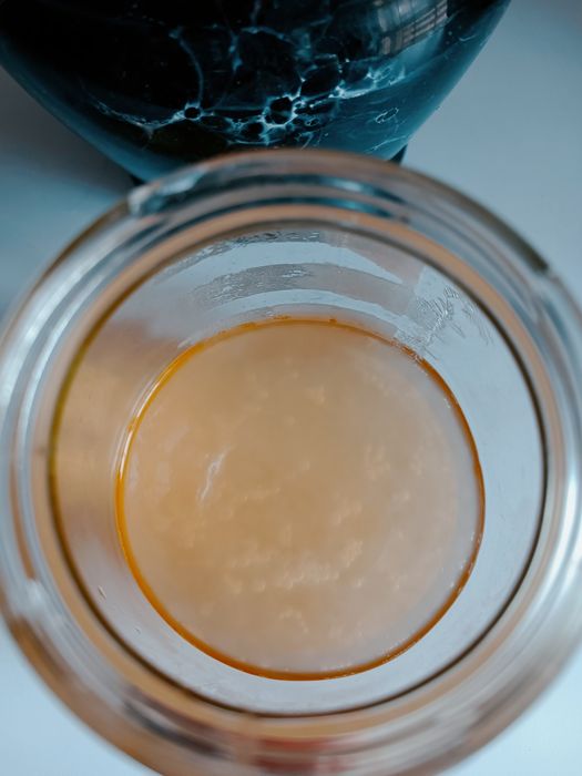 Kombucha com líquido starter (também envio por CTT)