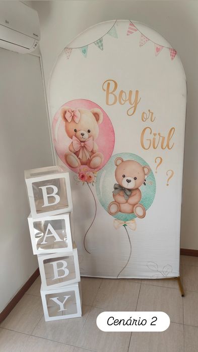 Baby Shower / Gender Reveal Party Equipment Rental