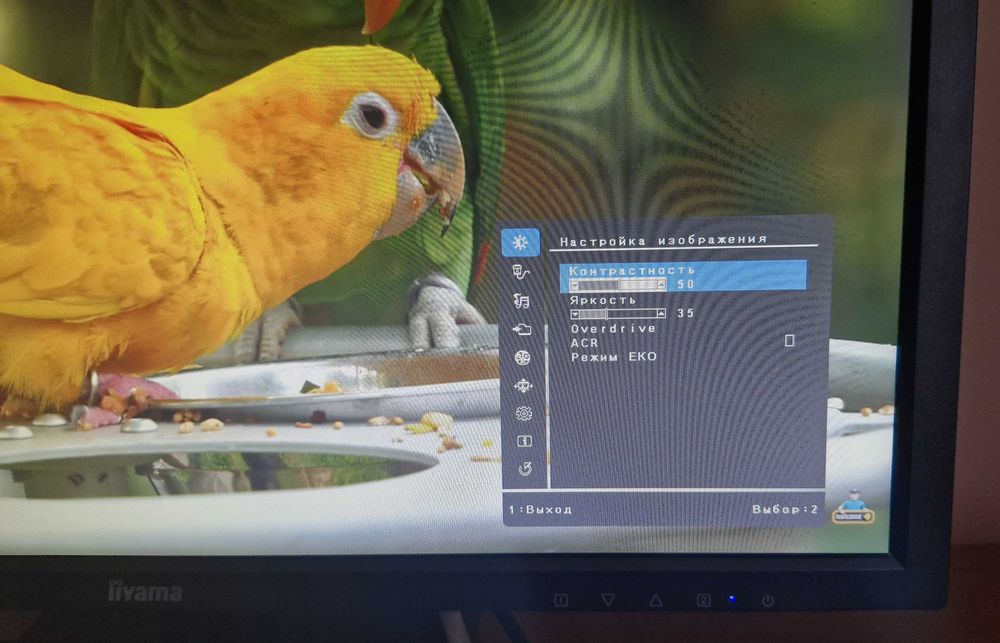 Монітор "22" iiyama G-MASTER GE2288HS