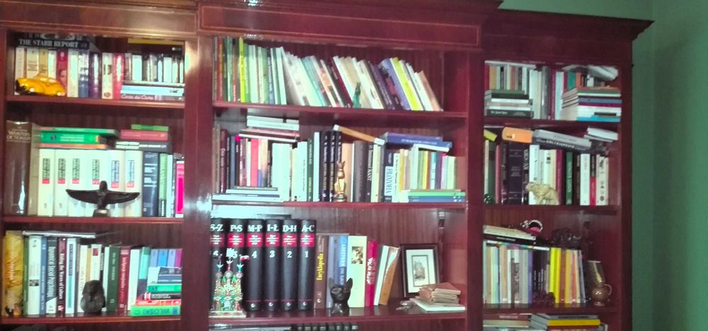 Elegancki regał na książki, naturalny mahoń