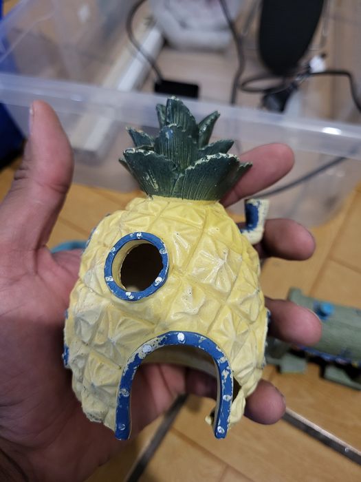 Enfeites Aquário Bob Esponja