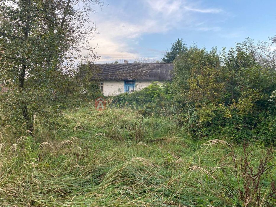 Продаж будинку з ділянкою та госп. приміщеннями с. Роснівка. ТЕРМІНОВО