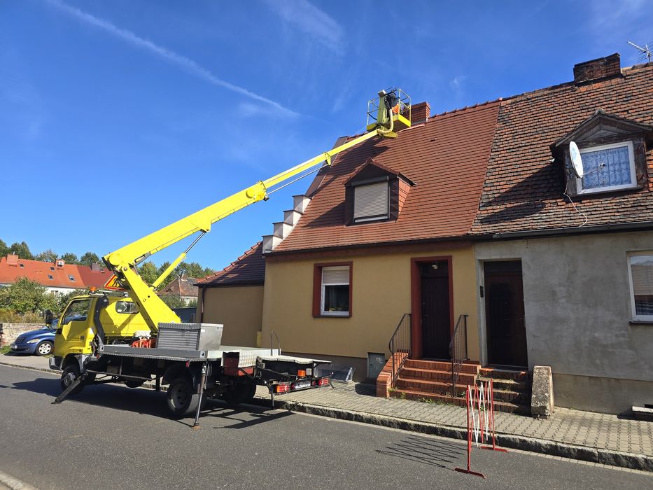 Wycinki drzew oraz pracę ogrodnicze