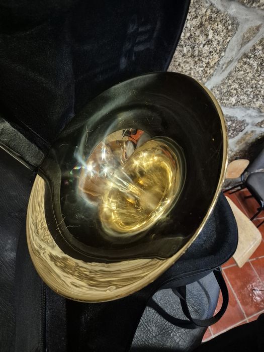 Trompa Wisemann DFH-BF600