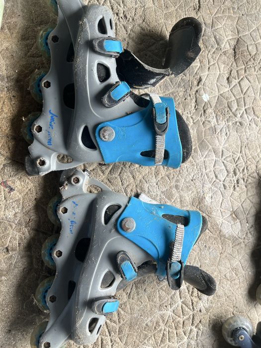 Patins marca promaster