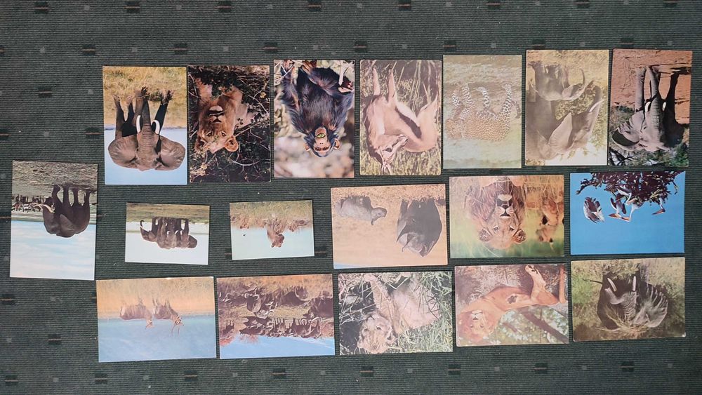 18 Postais Fauna Africana - Não Circulados