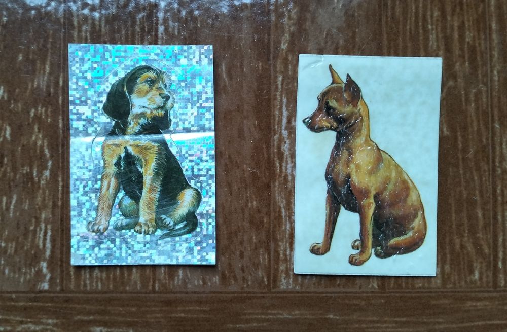 Cromos "O teu melhor amigo"