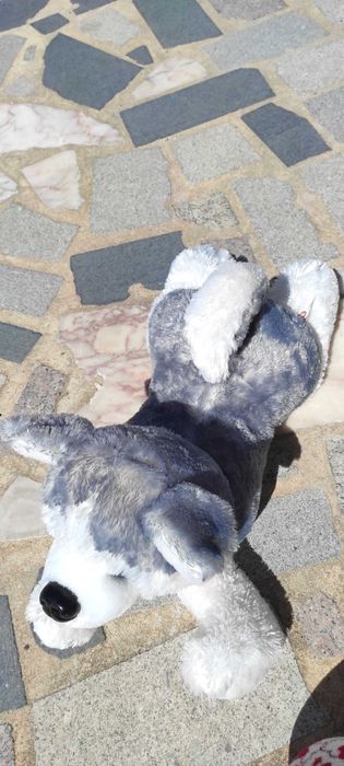 Lobo de peluche deitado