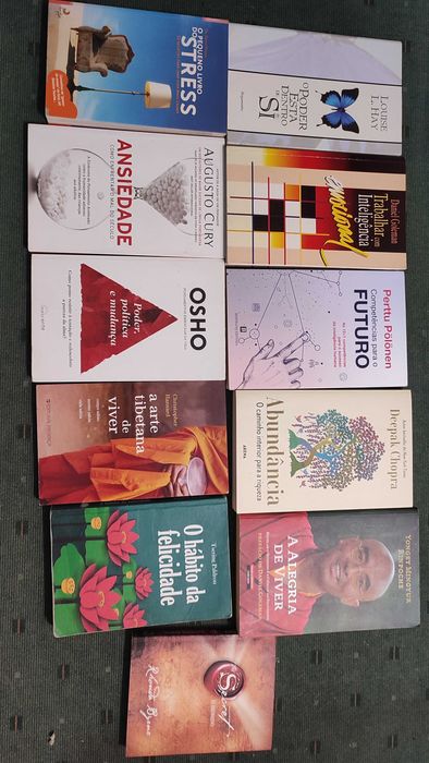 Lote 11 Livros sobre Desenvolvimento Pessoal  e Automotivação