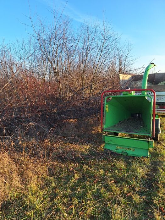 Usługi rębakiem, wycinka drzew, frezowanie pni wynajem, dowóz, darmowa