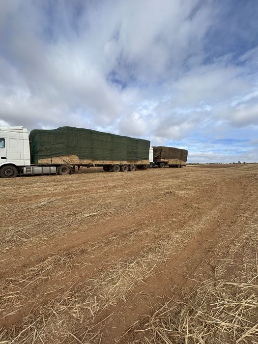 Fardos de feno e palha
