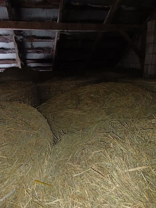 Siano i sianokiszonka zbiór 2025 baloty