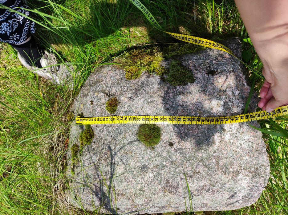 Kamienie dekoracyjne z ogrodu