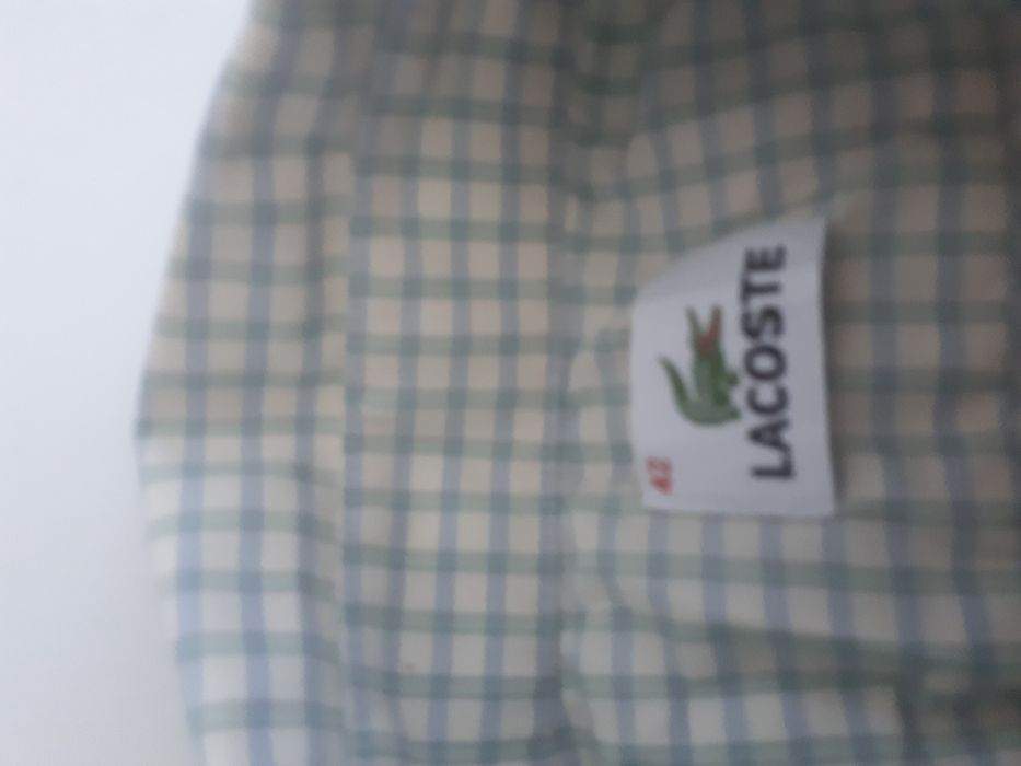 Koszula  marki Lacoste