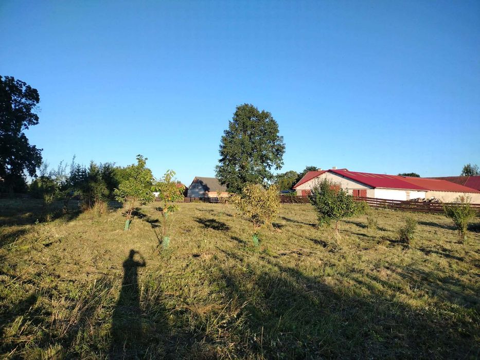 Działka rolno-budowlana Mazury 4400 m² Nowe Drygały gm. Biała Piska, nad lasem, niedaleko jeziora i plaży, warunki zabudowy dom+budynek gospodarczy - Widok 3