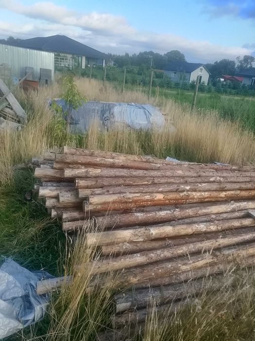 Stemple. 60szt 264cm