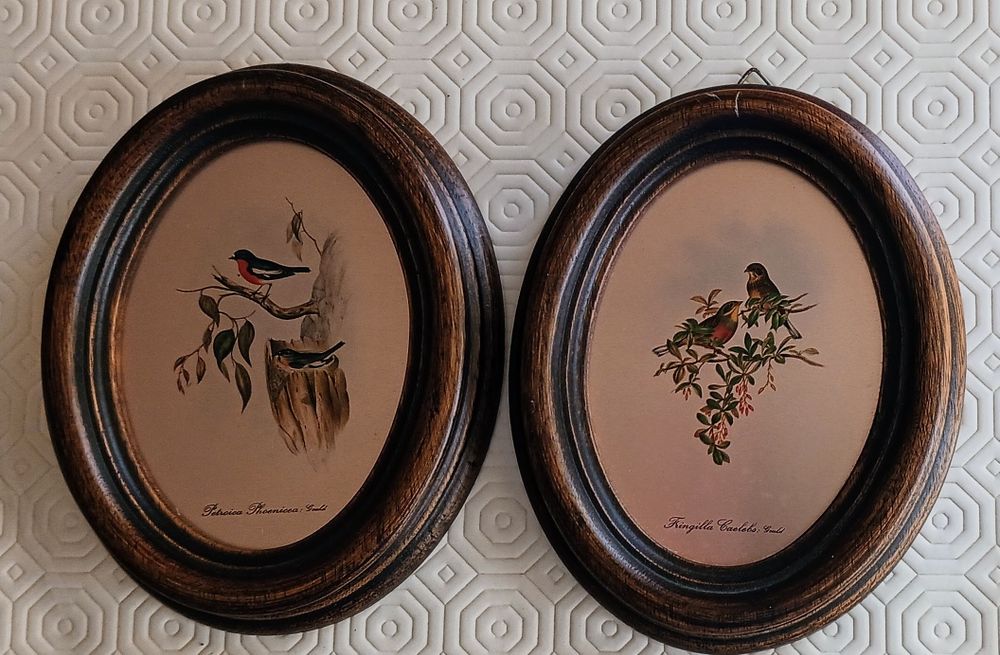 Bird Pair Comic Set