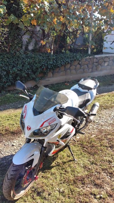 Моторка 250 кубова