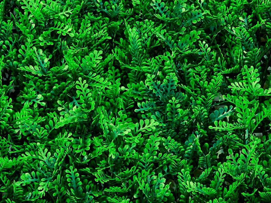 Jardim Vertical - LINK