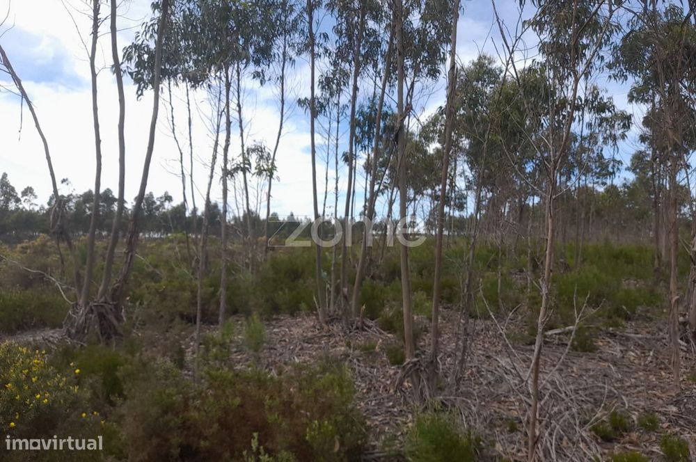 Terreno Rustico com 12580m2