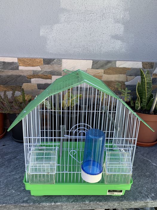 Gaiolas completas para pàssaros impecaveis