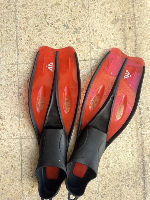 barbatanas vermelhas