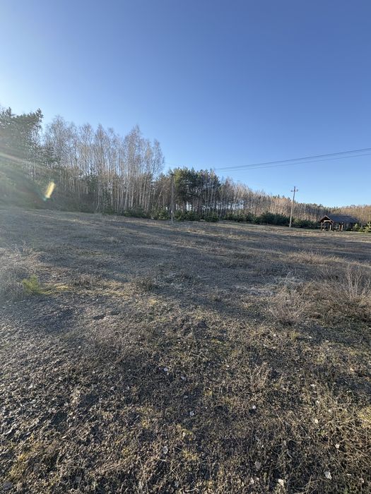 Działka z warunkami zabudowy 3000 m - Widok 5