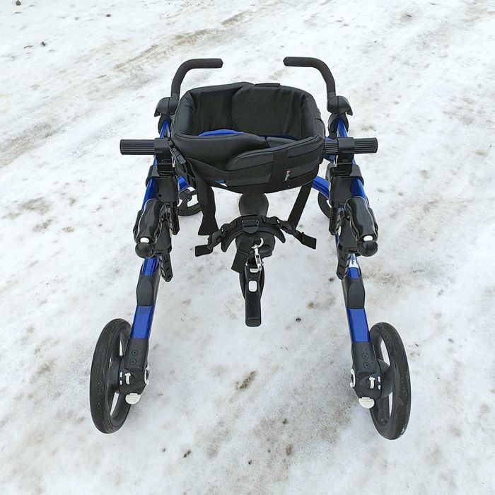 Задньопорні ходунки для дітей із ДЦП Rifton Dynamic Pacer Gait Trainer