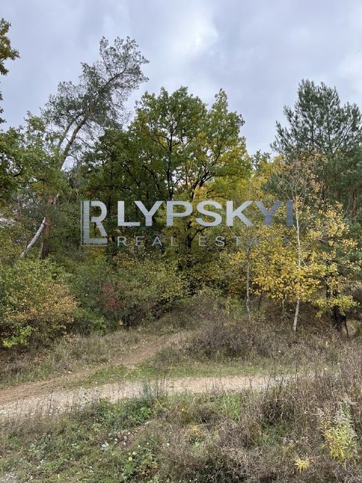 Ділянка в гарній локації біля лісу
