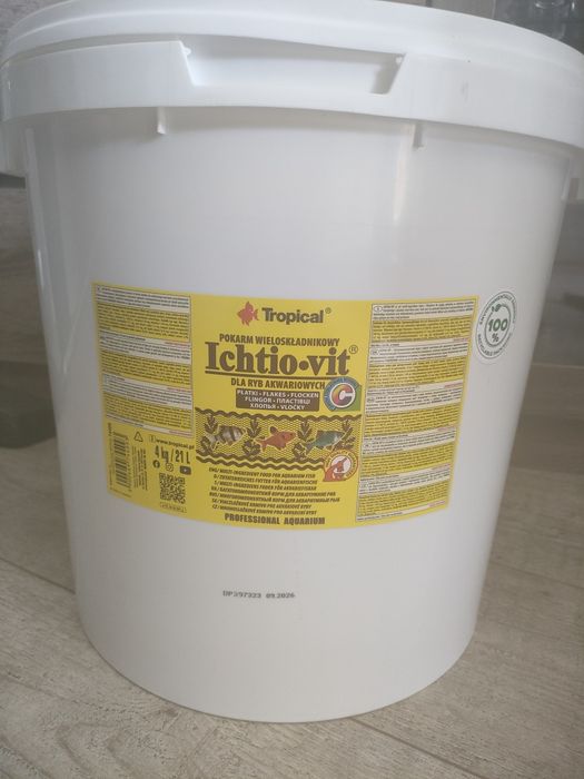 Sprzedam akwarium wraz z całą zawartością