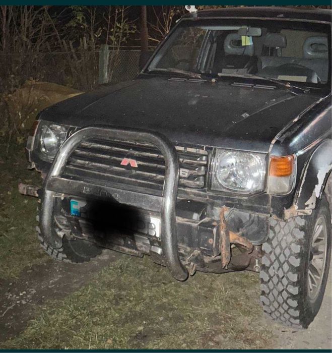 Mitsubishi Pajero Кенгурятник