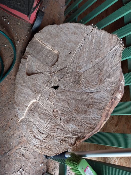Plaster drzewa wysezonowany 4 lata, blat na stół jesion