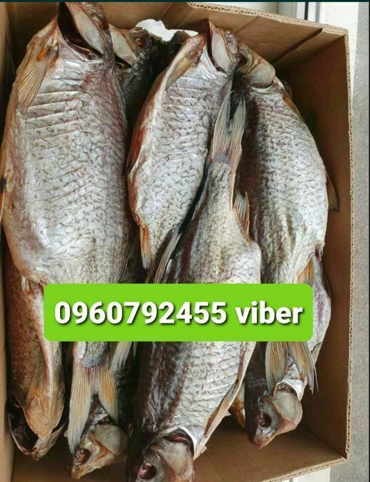 Тарань з ікрою. Плотва таранька Лящь Судак