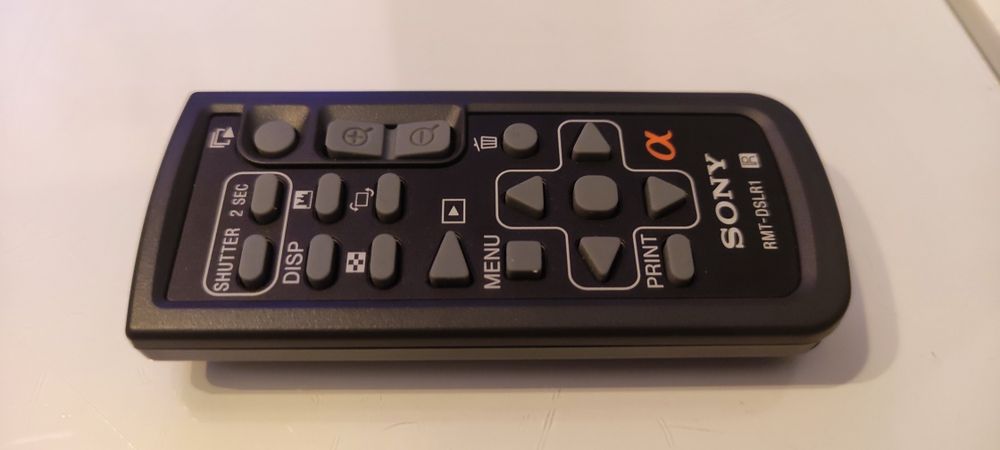 Pilot bezprzewodowy RMT-DSLR2