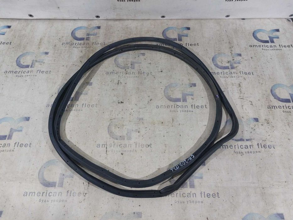 Chrysler 200 15-17 Уплотнитель двери передний / задний