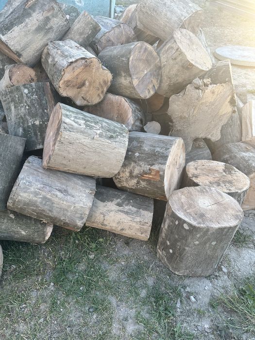 Продам дрова твердої породи( бук, граб)