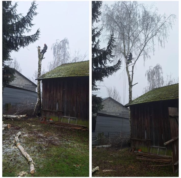 Wycinka drzew,drzew trudno dostępnych