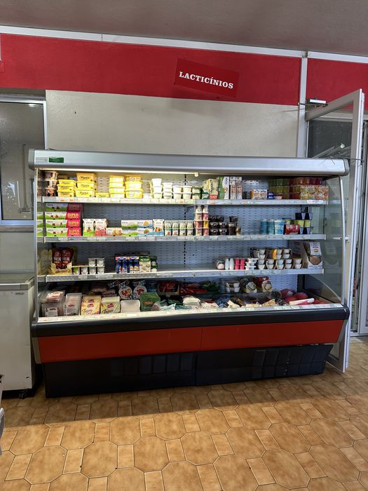 Arca refrigeraçao laticinios