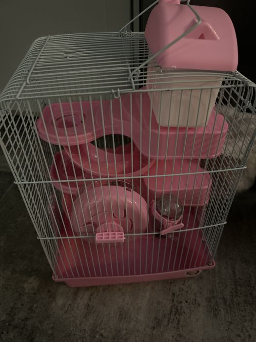 Klatka nowa dla malego gryzonia