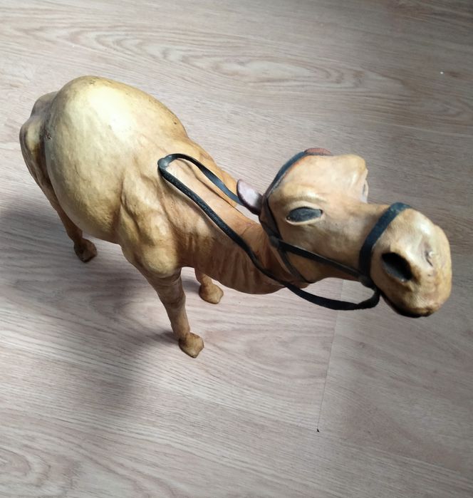 Dromedário Pele Marroquino