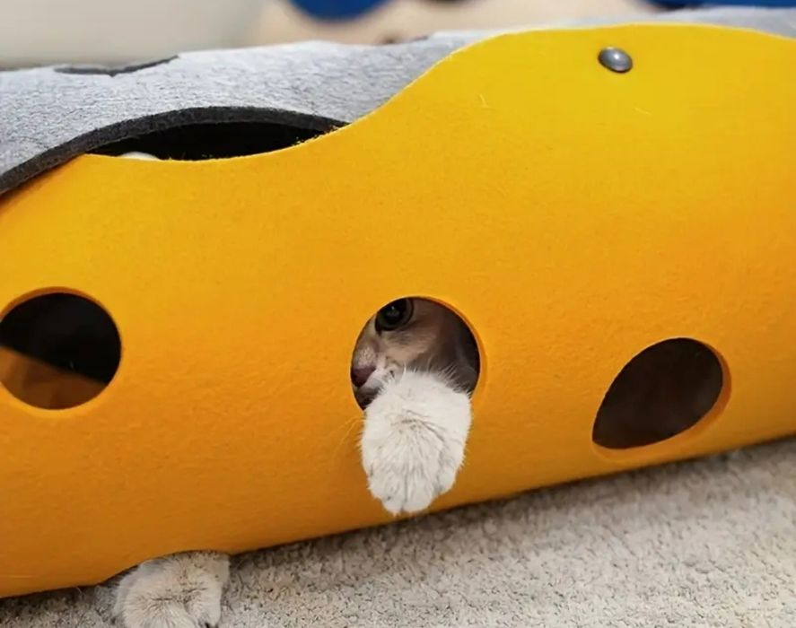 Тунель для кошенят