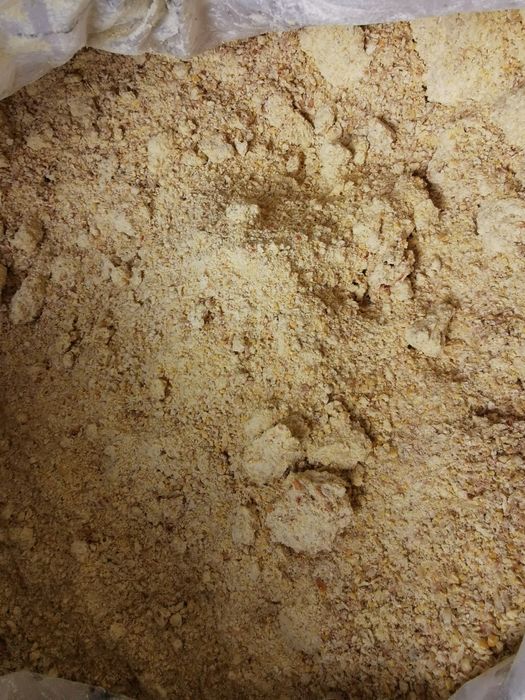 Mielona kukurydza CCM