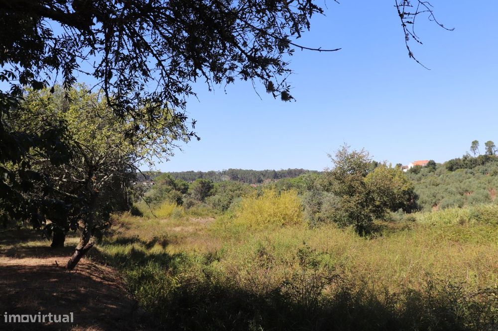 Terreno em Casal dos Crespos!