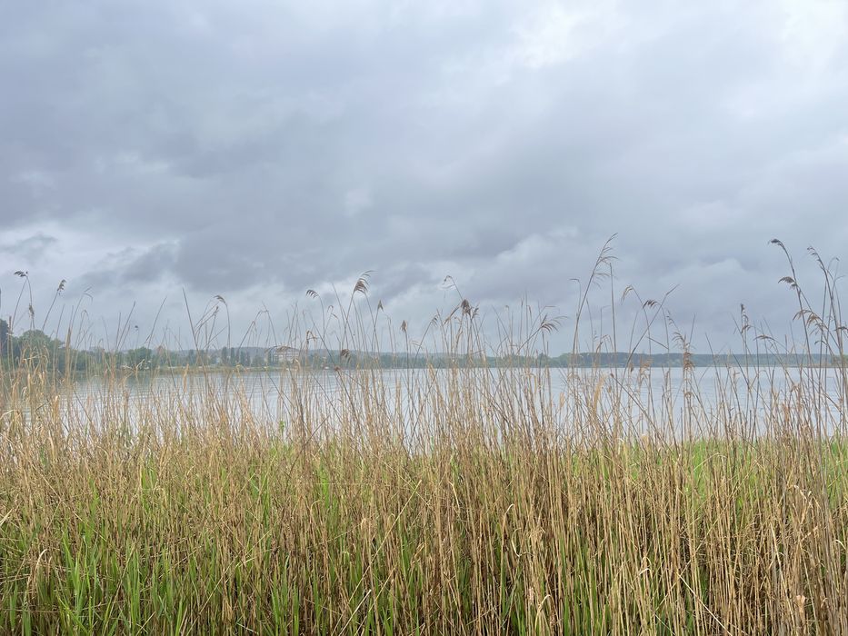 Продажа участка 108соток Вода Лес Таценки/земельна ділянка Ліс Вода
