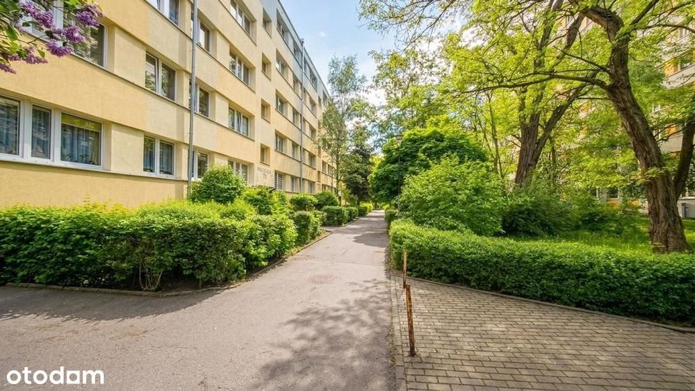 Białowieska, niska zabudowa, balkon, rozkład