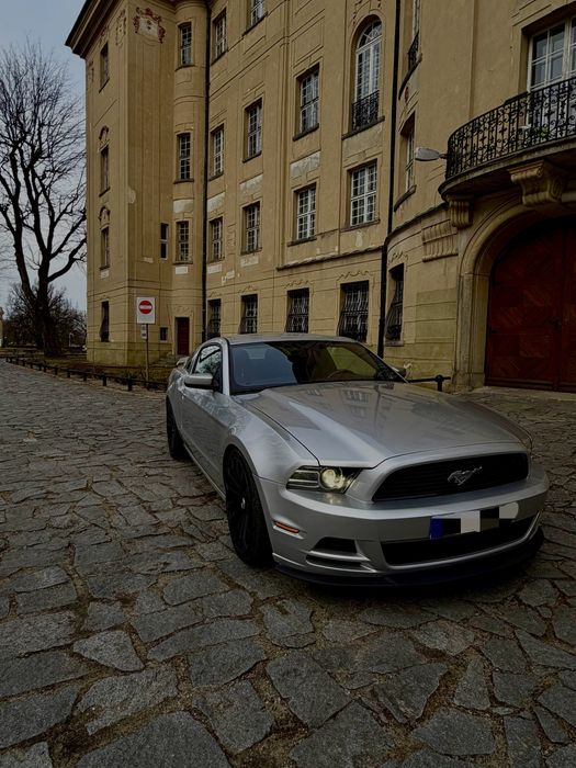 Ford Mustang 2014 – wynajem z kierowcą Ślub/sesja