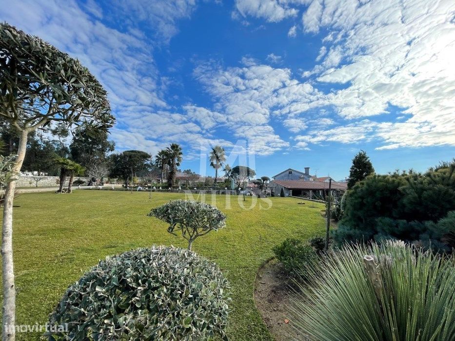 Quinta com moradia térrea T4+1 para venda em Fontão - Ponte de Lima