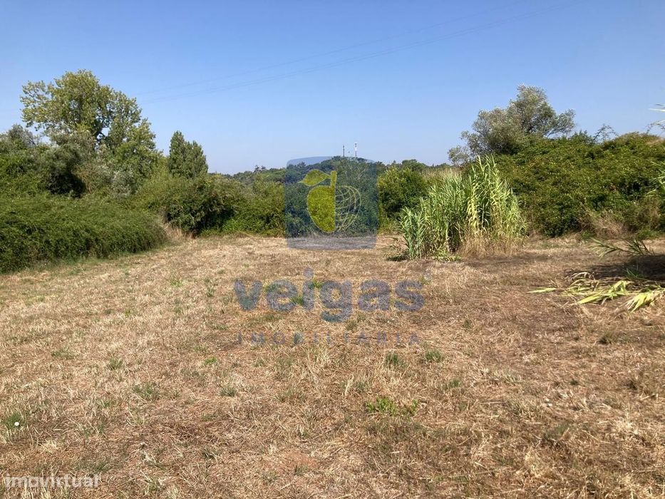 Casa Típica Portuguesa com Terreno de 6346m2