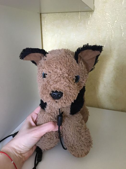 М’яка іграшка з якою можно гуляти на вулиці