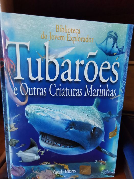 Coleção 10 livros